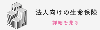 法人向けの生命保険　詳細を見る